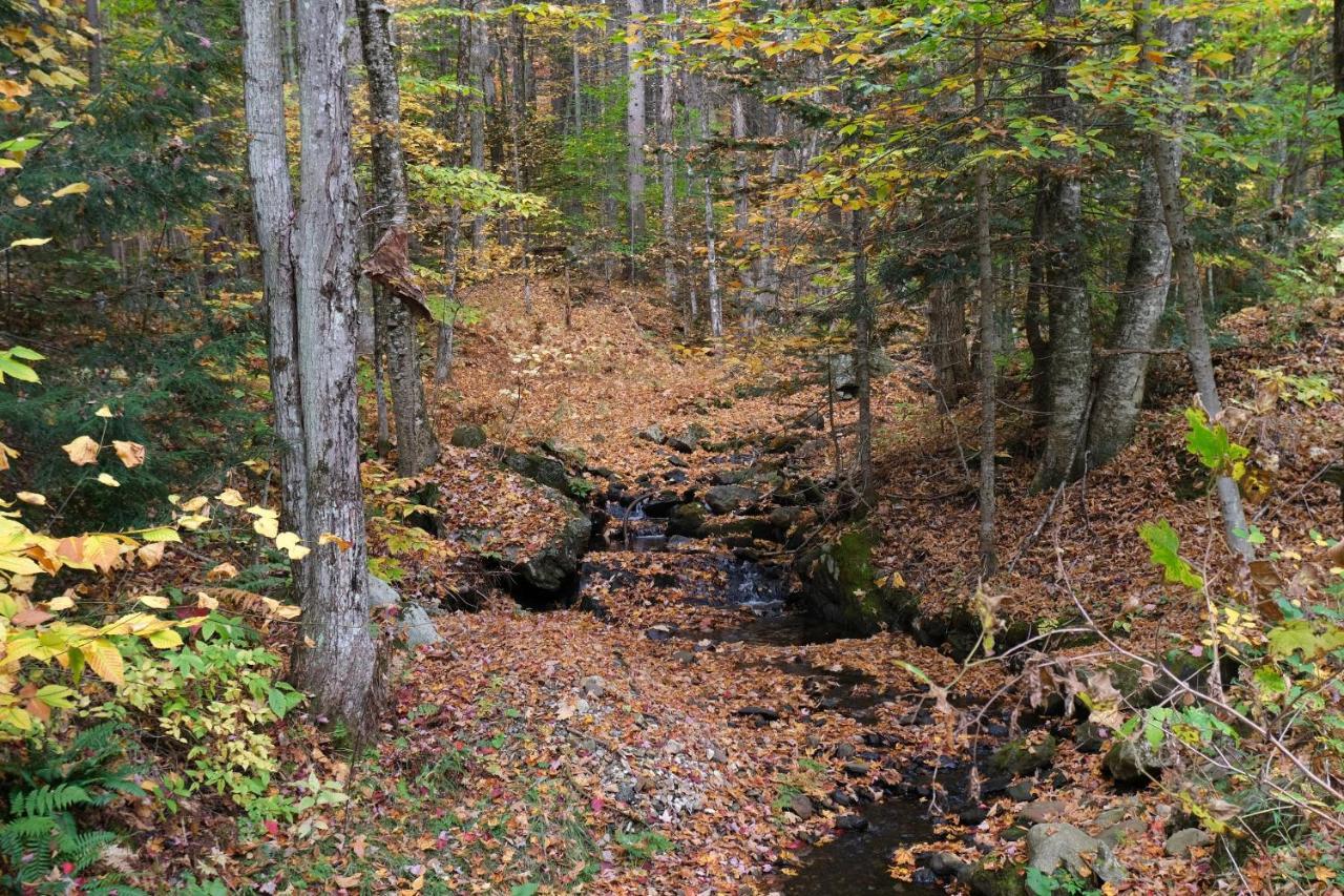 Ski In/Out Spruce Glen Townhomes On Great Eastern Trail كيلنغتون المظهر الخارجي الصورة