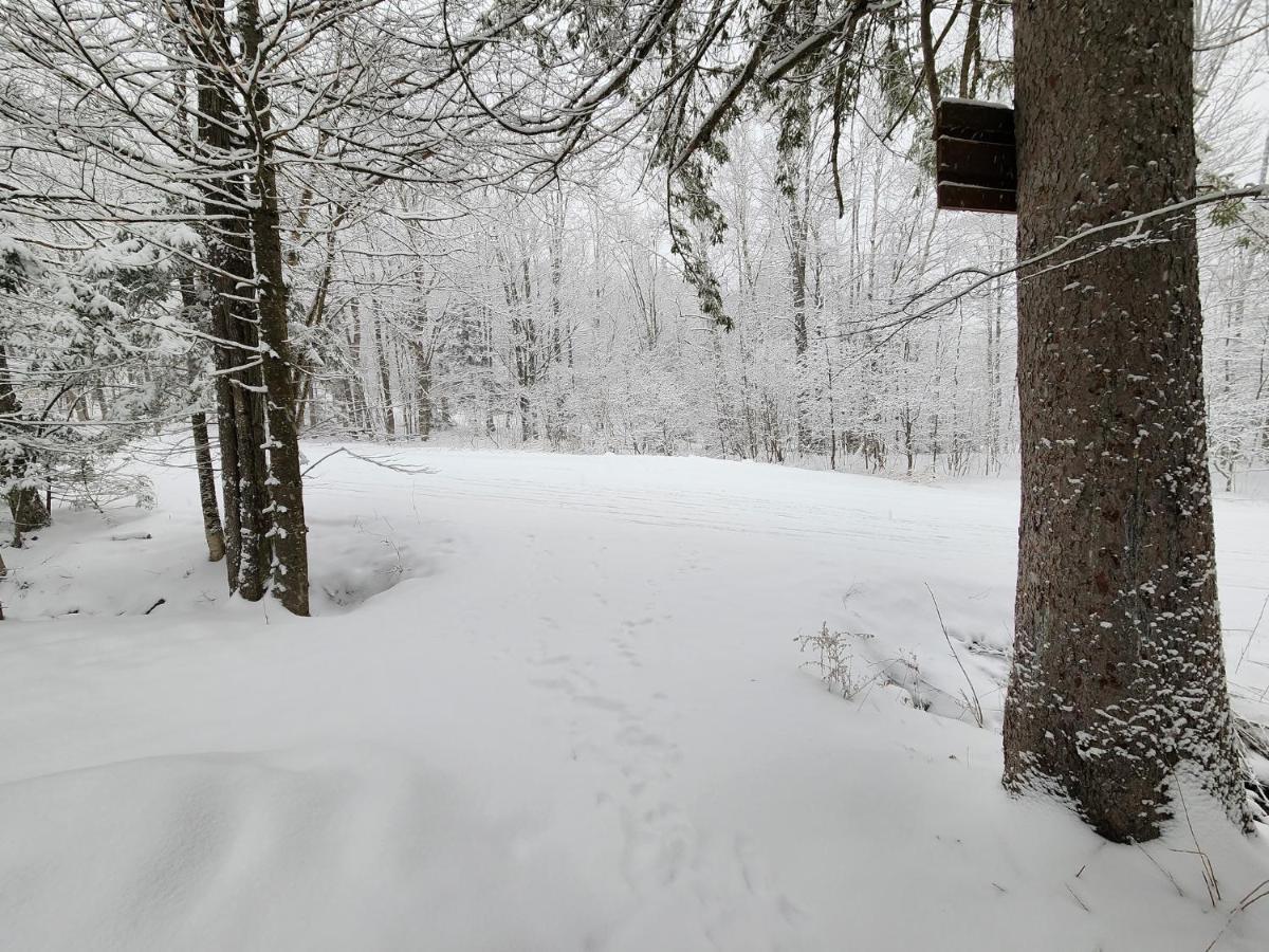 Ski In/Out Spruce Glen Townhomes On Great Eastern Trail كيلنغتون المظهر الخارجي الصورة