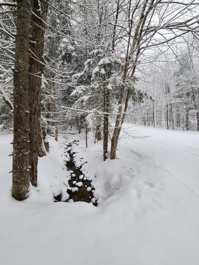 Ski In/Out Spruce Glen Townhomes On Great Eastern Trail كيلنغتون المظهر الخارجي الصورة